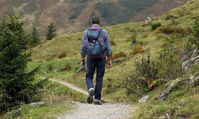 草地の登山道を、ザックを背負って歩く登山者の後ろ姿